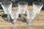 Traditional Late 20th Century Waterford Crystal Kenmare Water Goblets Set of 5 Signed Ireland For Sale - Image 3 of 11