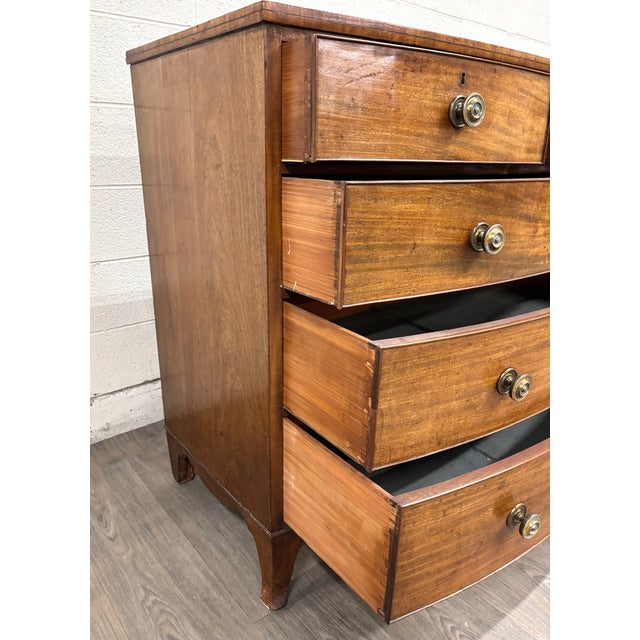 Brown Antique Federal / Hepplewhite Style Bowfront Mahogany Chest of Drawers For Sale - Image 8 of 11
