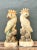 A pair of vintage cockatoo sculptures carved from onyx and alabaster, these decorative birds reflect the skilled artistry...