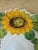 White Vintage 13.5” Italian Sunflower Incised, Glazed Handpainted Terracotta Platter For Sale - Image 8 of 16