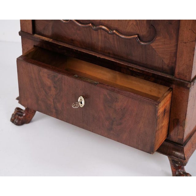 Antique Hand-Polished Mahogany Silverware Cabinet with Lion Feet, 1860s For Sale - Image 12 of 13