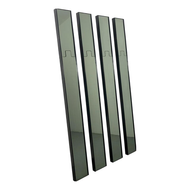 Gronda Wall Mirror Coat Racks by Luciano Bertoncini for Elco, Italy, 1970s, Set of 4 For Sale