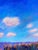 Barbara Sowle Santa Barbara, CA Landscape Painting on Canvas Offered for sale is a striking stylized Santa Barbara,...