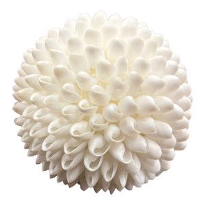 White Sea Shell Decorative Ball