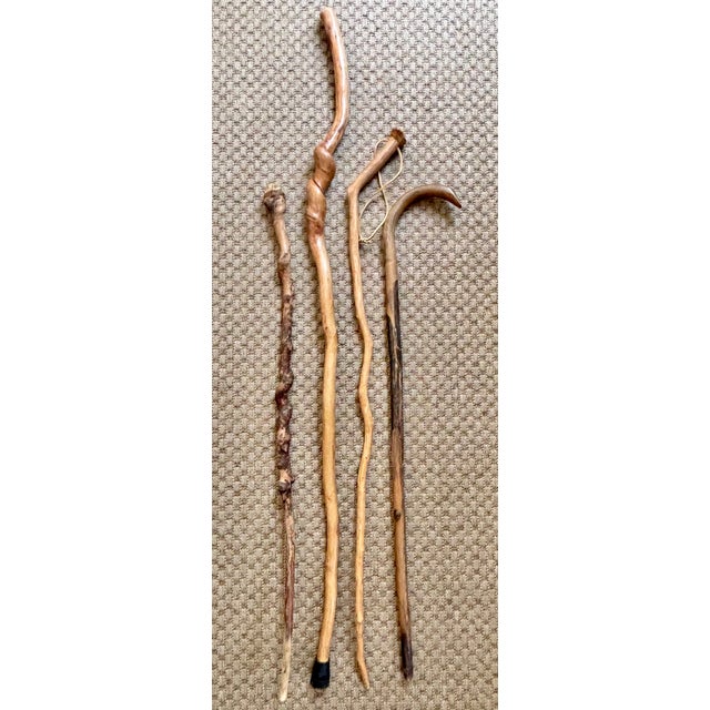 Brown Late 20th Century Set Four Rustic Twisted and Knobby Carved Walking Sticks For Sale - Image 8 of 8