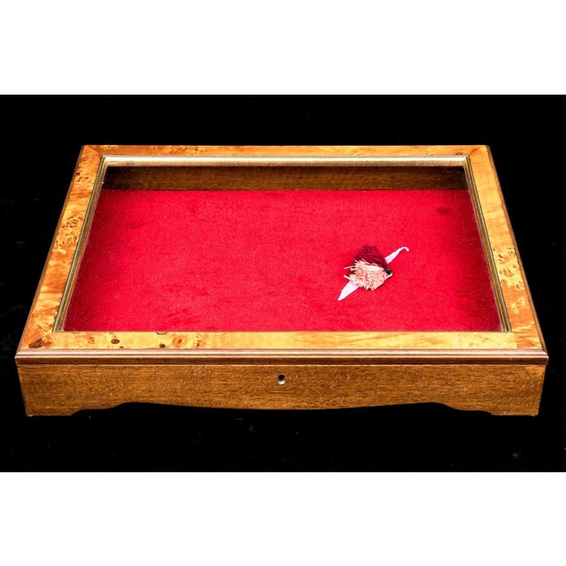 Vintage Tabletop Burl Wood and Glass Keyed Collector’s Display Box For Sale - Image 16 of 18