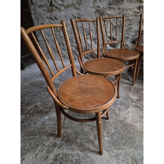 Bentwood Bistro Chairs from Fischel, Former Czechoslovakia, 1930s, Set of 6 For Sale - Image 4 of 18