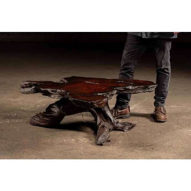 Striking sculptural coffee table carved from a single burlwood slab with an organically contoured live-edge top and...