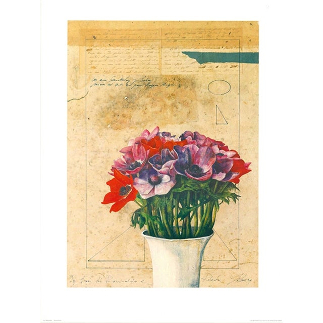Wolfgang Zelmer, Anemone di Romualdo, Print For Sale