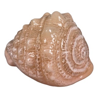 Pink Murano Glass Shell Table Lamp from Mazzega, 1970s For Sale