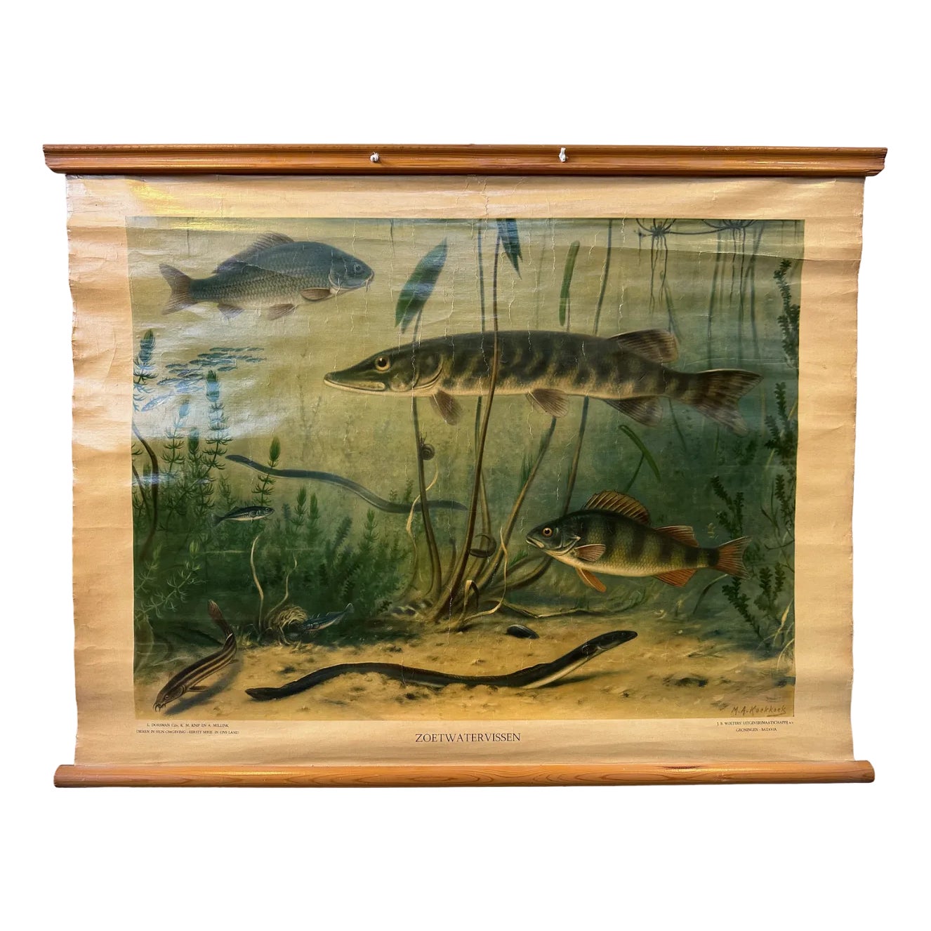 Vintage Linen School Map of Freshwater Fish | Chairish