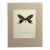 Vintage 1965 Butterfly Print in 11x14 Mat: Bhutanitis Lidderdalei/Bhutan Glory For Sale