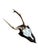 Cabin Roe Deer Trophy 138 Black Forest Antlers Abnormal For Sale - Image 3 of 5