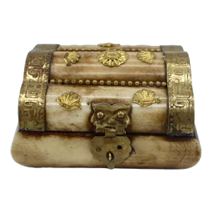 Antique Horn and Brass Box