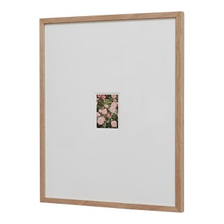 The Rose Garden Nº 14 Print by David Urbano, 2018 For Sale