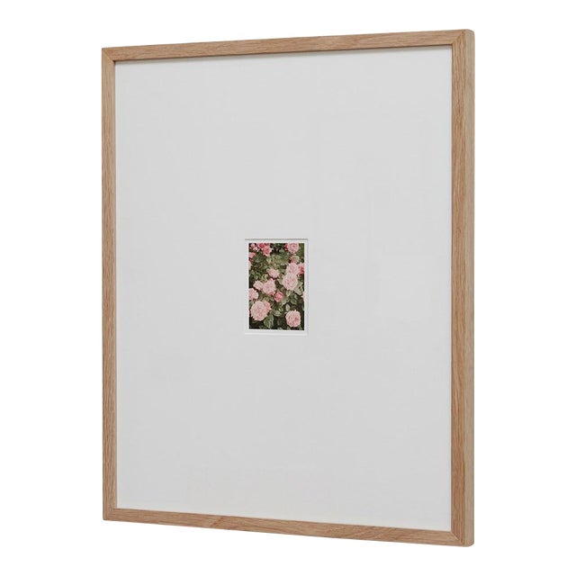 The Rose Garden Nº 14 Print by David Urbano, 2018 For Sale