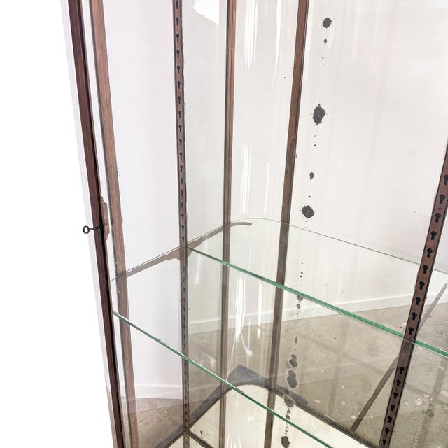 Large Antique Metal Museum Display Cabinet with Curved Glass, 1890s For Sale - Image 13 of 18