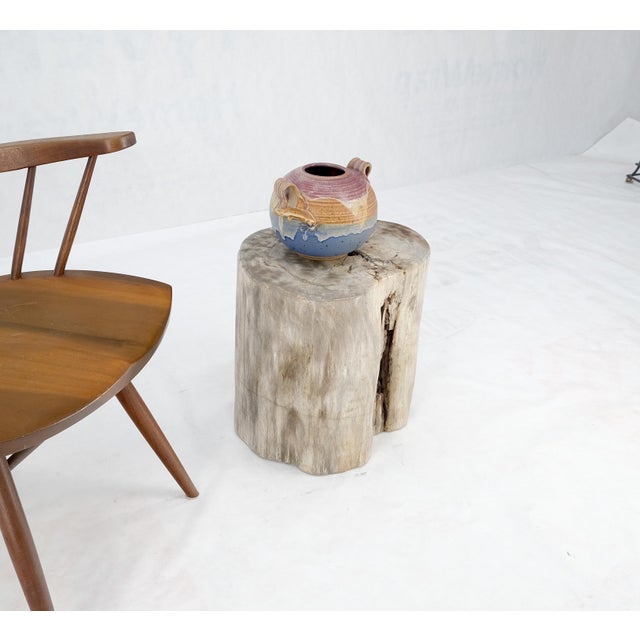 Beige Large Petrified Wood Organic Stomp Shape Stand End Side Table Pedestal For Sale - Image 9 of 9