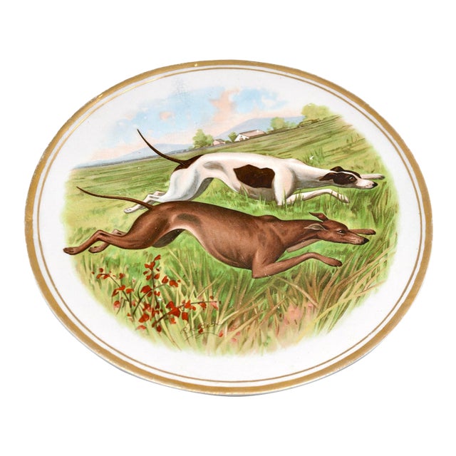 Antique 10" r.k. Beck Sporting Hound Porcelain Cabinet Plate - Circa 1910 For Sale