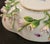 Mid-19th Century Meissen Porcelain Tea Cup and Saucer: Encrusted Flowers, Hand Painted Insects For Sale - Image 9 of 10