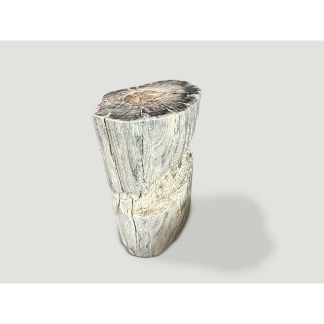 Contemporary Andrianna Shamaris Ancient Petrified Wood Side Table For Sale - Image 3 of 4