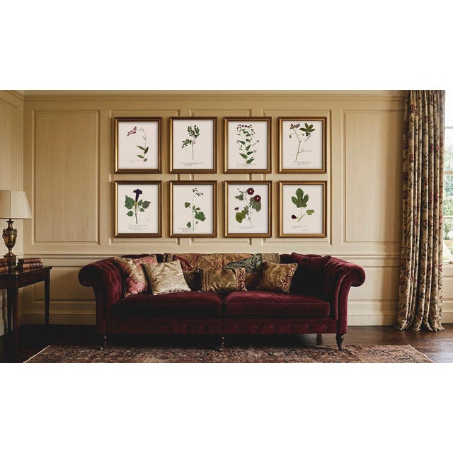 This set of antique botanicals with oxblood and plum flowers has English cottage charm. I've remastered these in my studio...