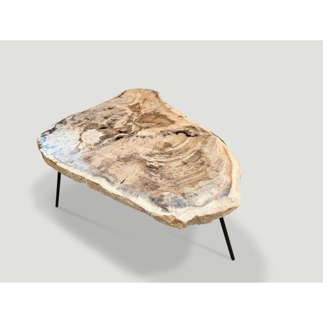 Andrianna Shamaris Minimalist Petrified Wood Coffee Table or Side Table For Sale In New York - Image 6 of 6