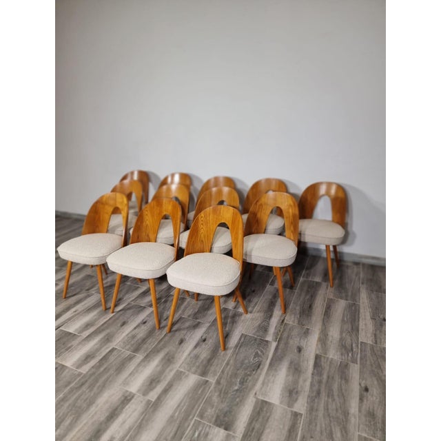 Dining Chairs from Antonin Suman, 1960s, Set of 12, in Restored conditions. Designed 1960 to 1969 I have official proof of...