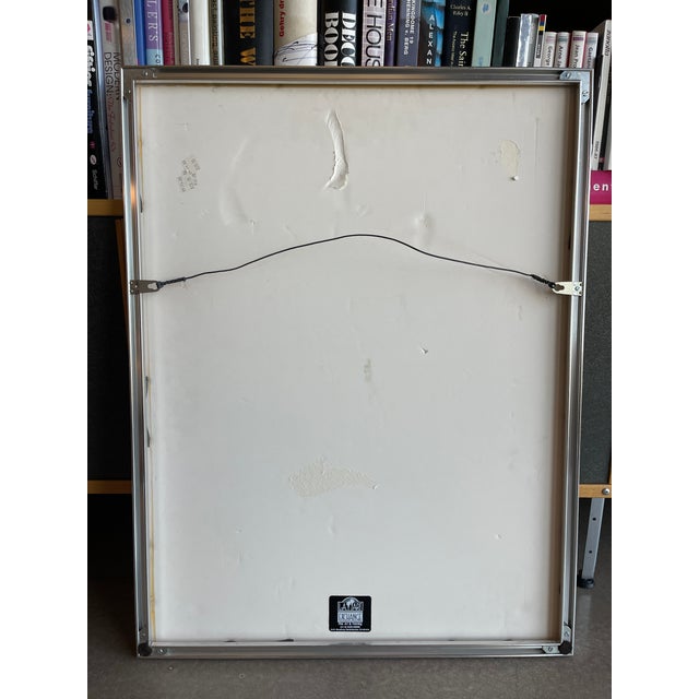 Gray 1970s 73 Gary Rieveschl Signed Numbered Lithograph Lifeline Ohio Environmental Installation Crocuses, Framed For Sale - Image 8 of 12