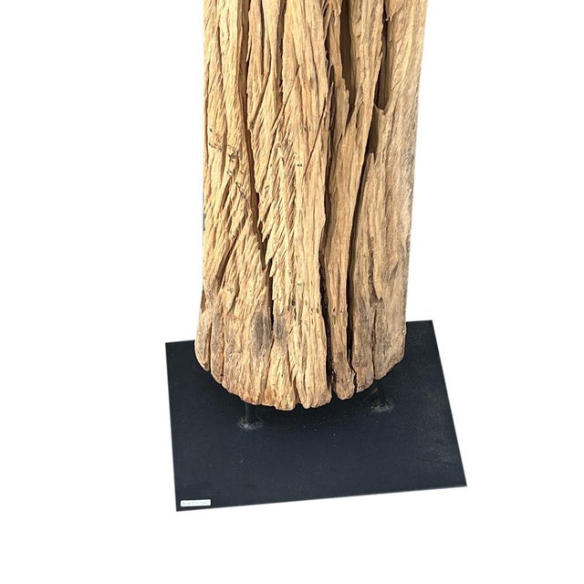 Late 20th Century Antique Driftwood On Metal Stand For Sale - Image 5 of 5