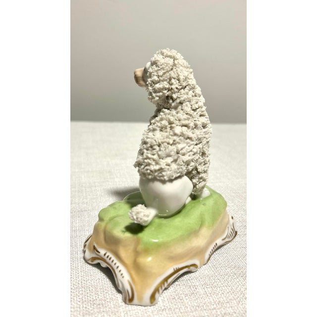 Mid-Century Modern MCM Dresden Germany Porcelain Poodle With Applied Floral Encrustation For Sale - Image 3 of 5