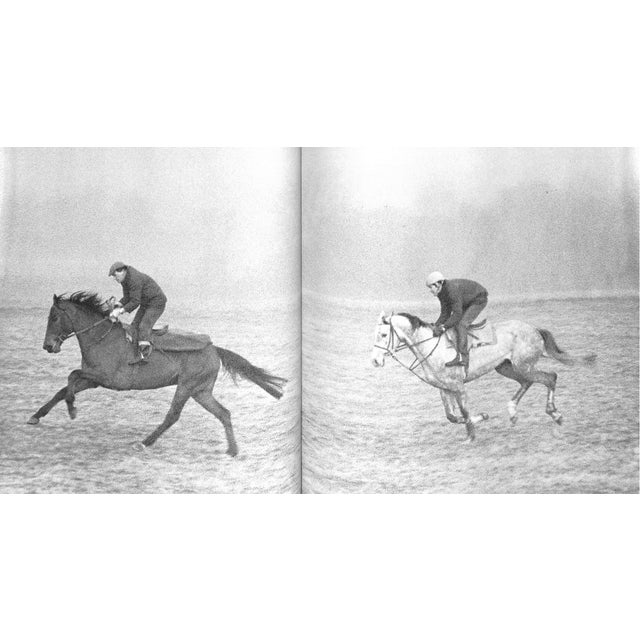 "Steeplechasing" 1983 Woolfe Jr., Raymond For Sale In New York - Image 6 of 8