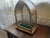 Glass 20th Century Neo-Gothic Eclectic Display Case in Wood and Glass with Decorative Plasterwork, 1890s For Sale - Image 7 of 16