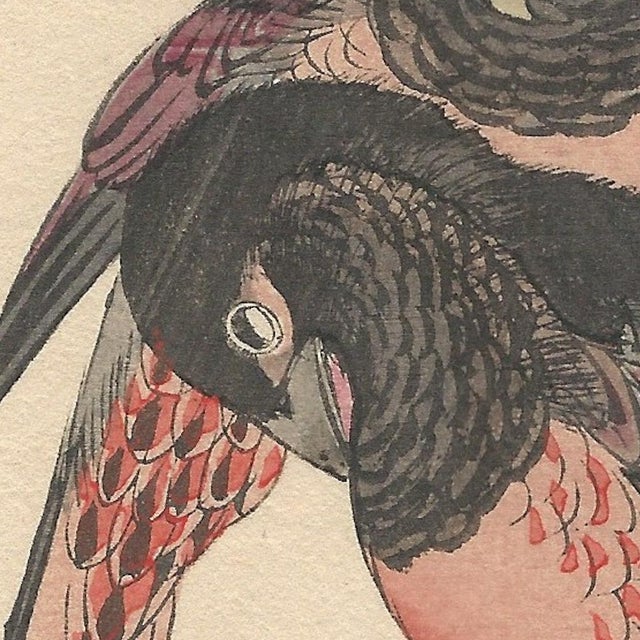 Late 19th Century Imao Keinen, Keinen Kacho Gafu, 1892, Print For Sale - Image 5 of 12