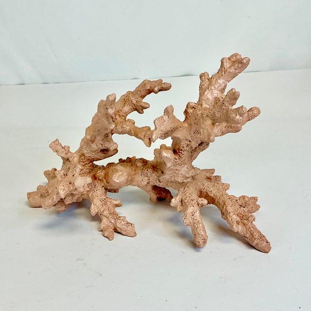 Mid 20th Century Mid-Century Coastal Boho Chic Faux Ocean Branch Coral Decorative Object For Sale - Image 5 of 12