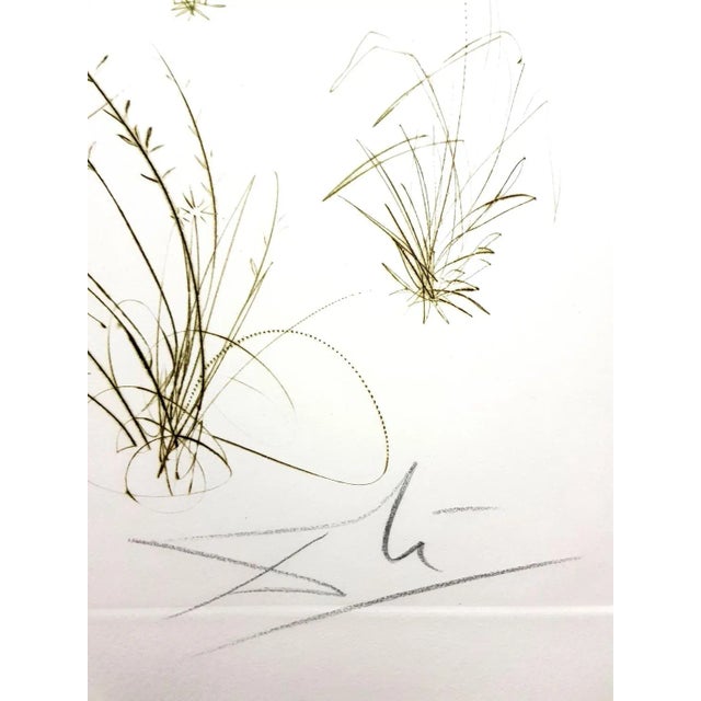 Early 21st Century Salvador Dali - Brother Ogrin, The Hermit - Original Etching 1970 For Sale - Image 5 of 8