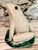 Stunning Italian majolica crackled glazed frog figurine over a lotus leaf.