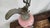 Circa 1900 Victorian Rococo Revival Pink Rose Porcelain & Spelter Mantel Ewer For Sale In New York - Image 6 of 18