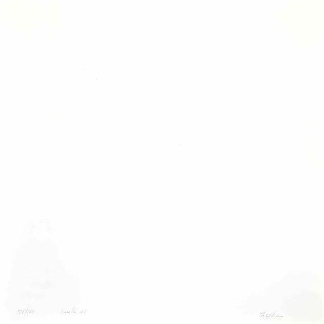 Green Cosmos - Violet is a lithograph realized by Eleni Zerva in 1971. Hand-signed and numbered on the back. Edition of...