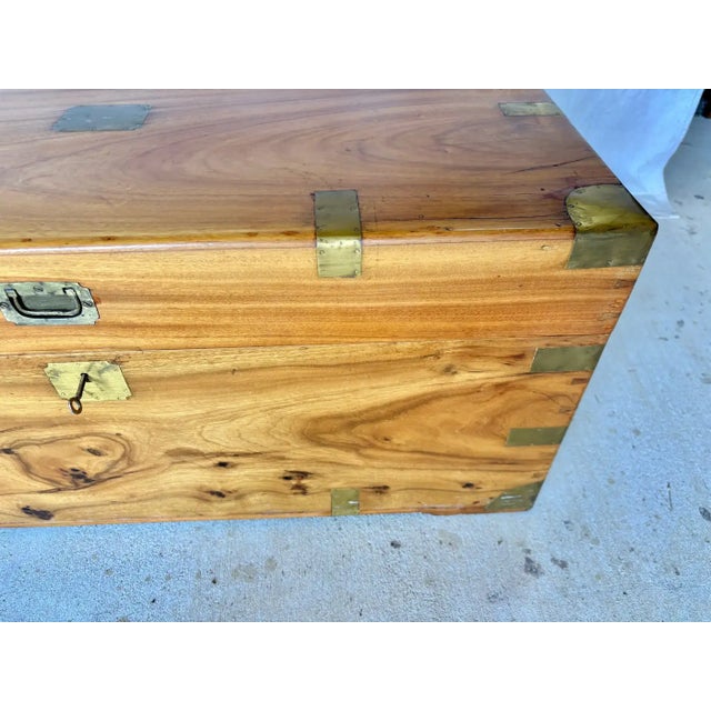 Wood 19th Century English Camphor Wood Campaign Chest For Sale - Image 7 of 18