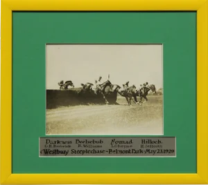 "Westbury Steeplechase"