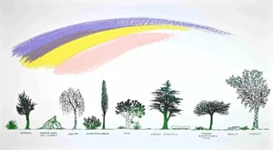 Bruno Munari, An Avenue of Different Trees, Screen Print, 1980s
