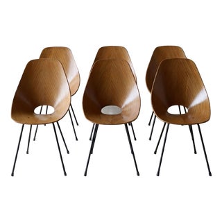 Medea Chairs by Vittorio Nobili for Fratelli Tagliabue, 1950s, Set of 6 For Sale