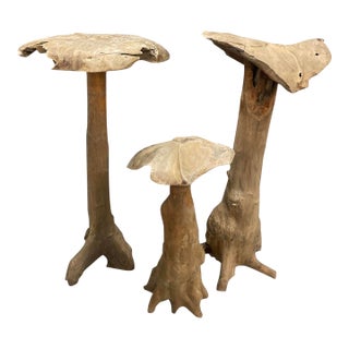 Set of Vintage Organic Teak Driftwood Mushroom Sculptures, 3 Pieces For Sale