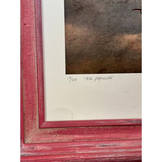 2016 Jennifer Ivory 'Air Papillion' Print With Butterfiles & Hurcules Beetle Motif - Framed For Sale - Image 9 of 15