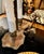 Metal Pair Early 20th Century Bouillotte Lamps, C. 1920-1930 For Sale - Image 7 of 9