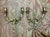 Vintage French Rococo Style Metal Wall Candle Sconces - Pair For Sale - Image 4 of 16