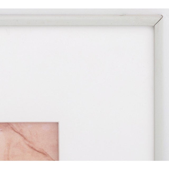 Late 20th Century Anne Sager Flypaper Posters Photograph C-Print For Sale - Image 5 of 6