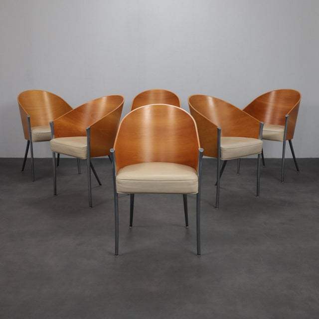 King Costes Chairs by Philippe Starck for Driade, Italy, 1990s, Set of 6 For Sale - Image 12 of 12