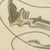 Beige Bertuch, Frogfish with Lure and a Ribbon Fish, 1810, Print For Sale - Image 8 of 12